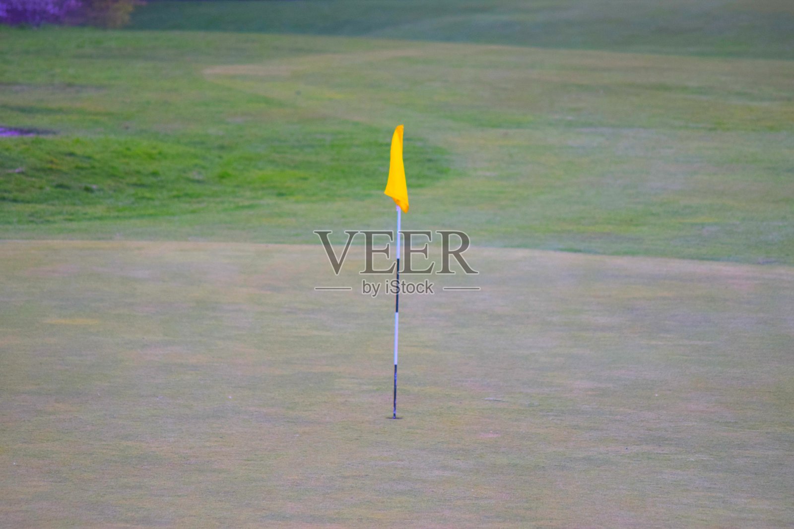 英国高尔夫绿色照片摄影图片