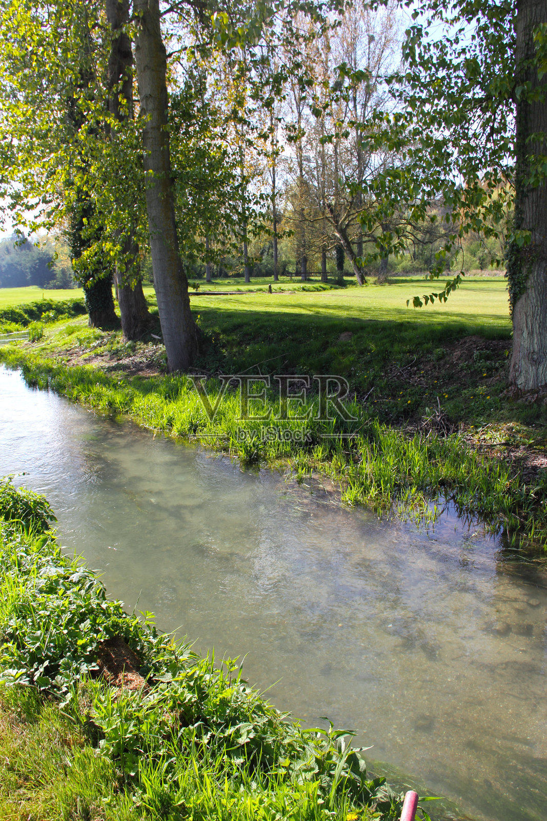 美丽的春天风景照片摄影图片