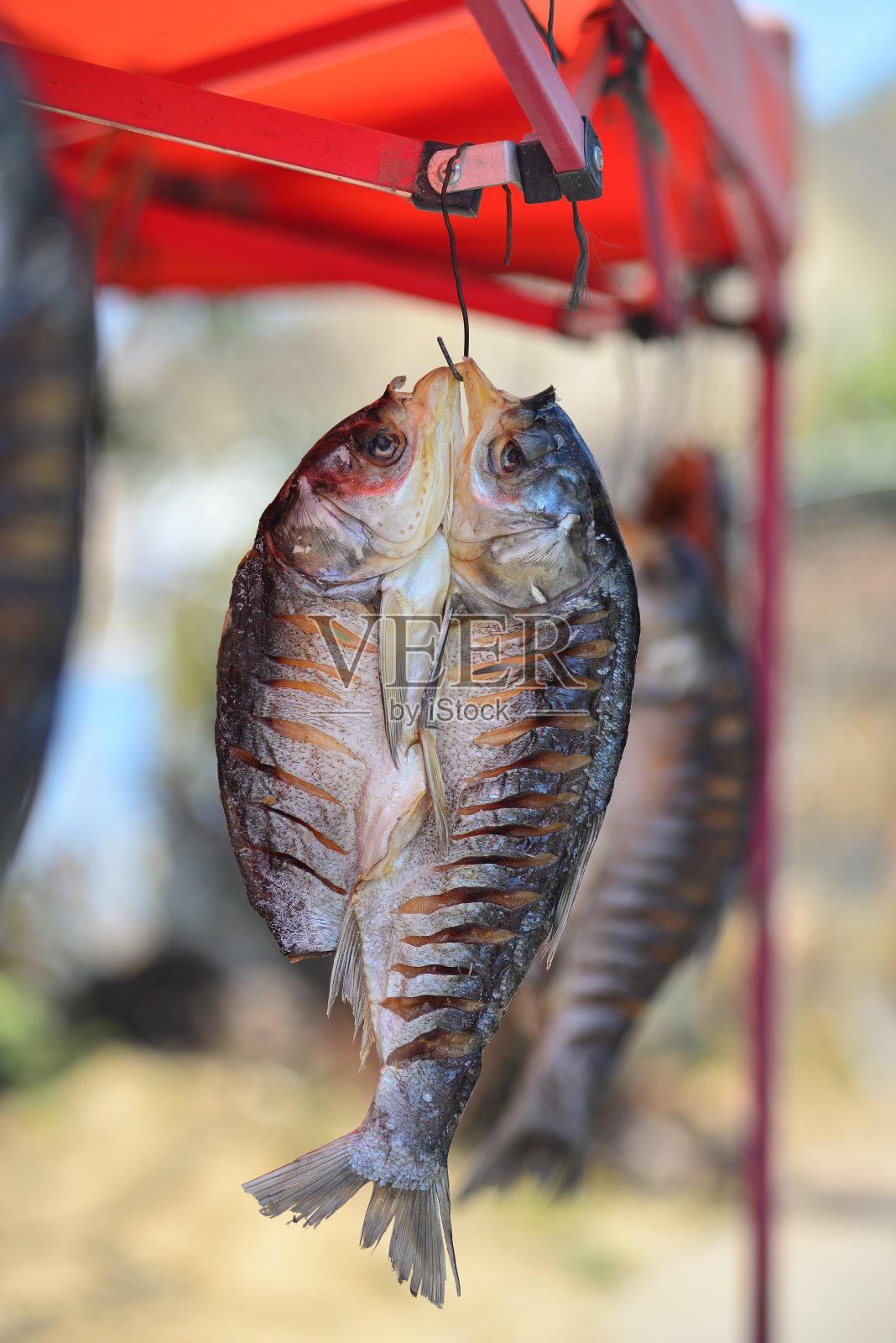 鱼干照片摄影图片