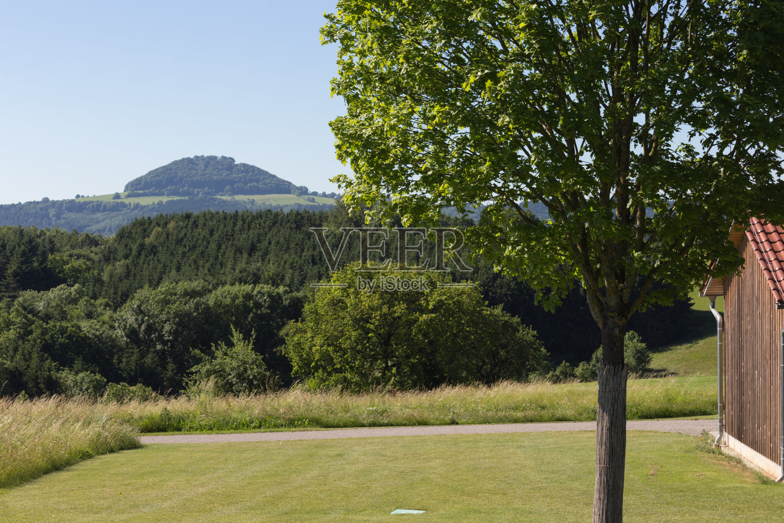 德国南部的乡村景观夏季月6月照片摄影图片