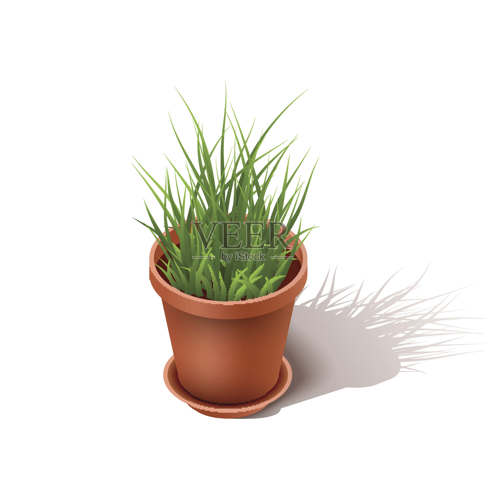 隔陶花盆用一株小草。等距的房子花孤立在一个白色的背景。矢量图设计元素图片