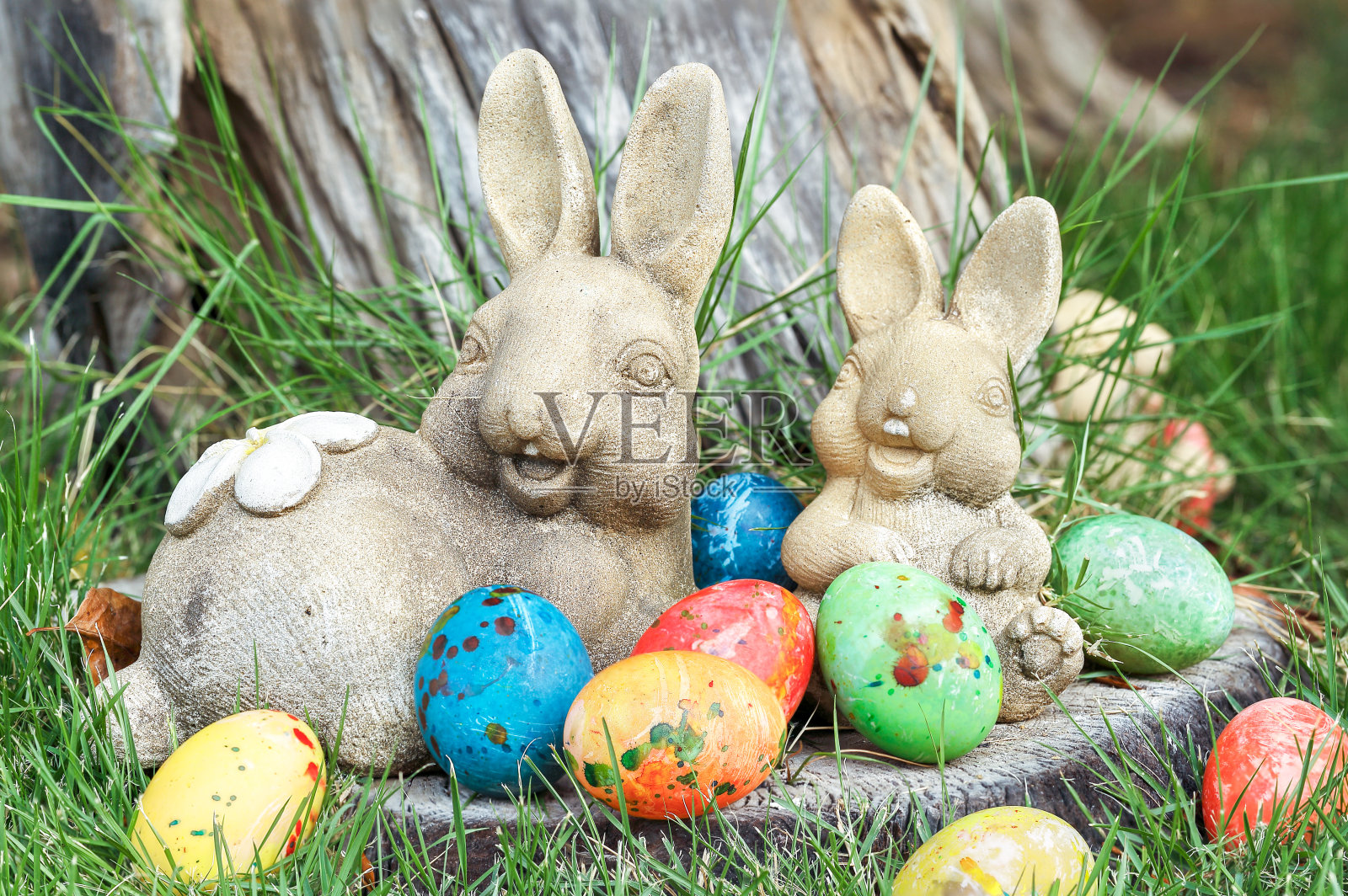 复活节兔子照片摄影图片