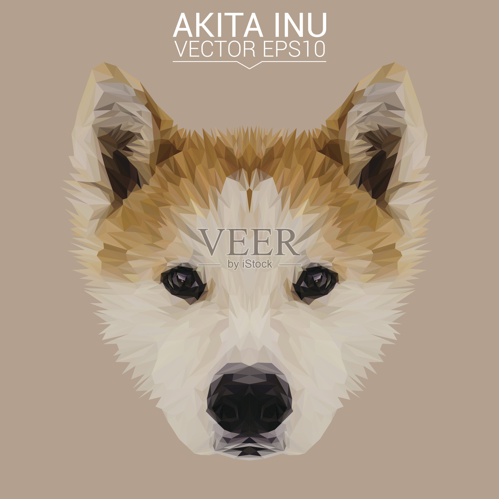 秋田犬犬动物低多边形设计矢量插图。插画图片素材