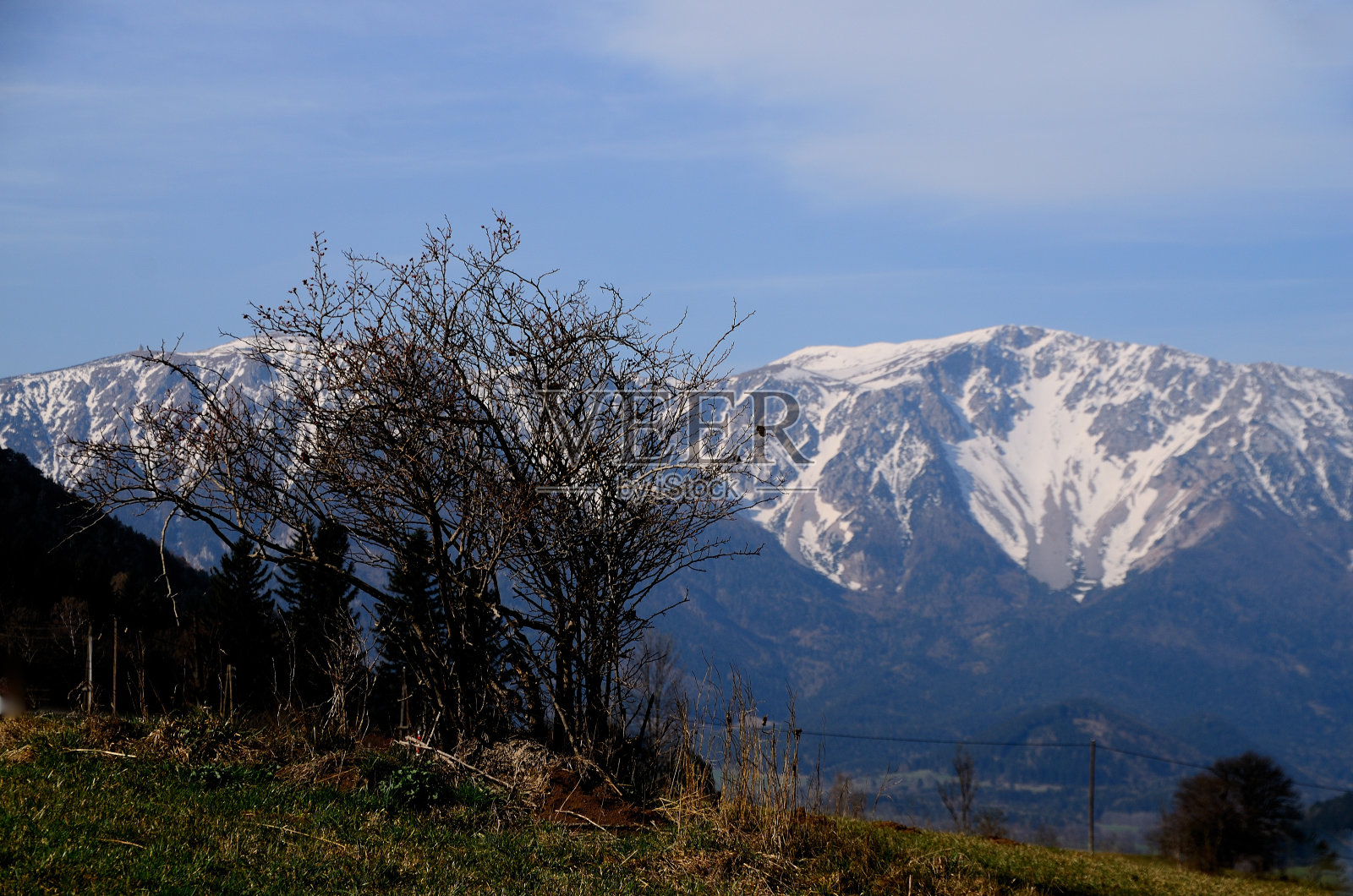 灌木和山与雪照片摄影图片