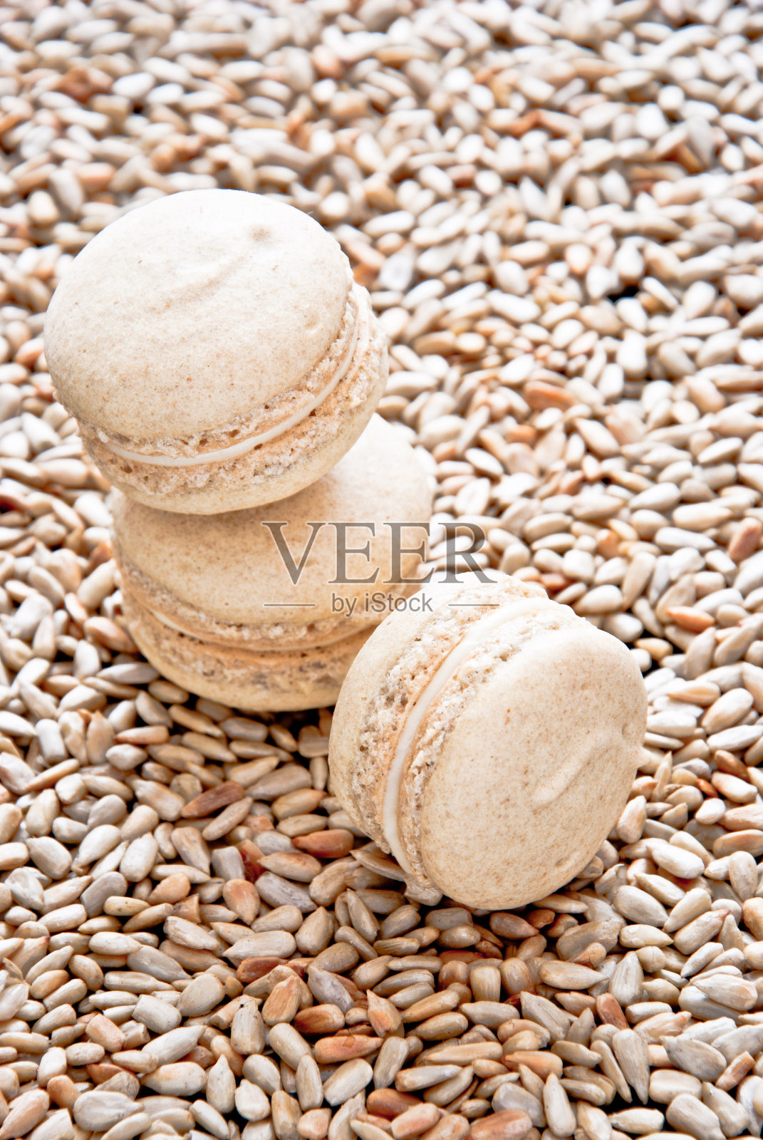 葵花籽未曾照片摄影图片