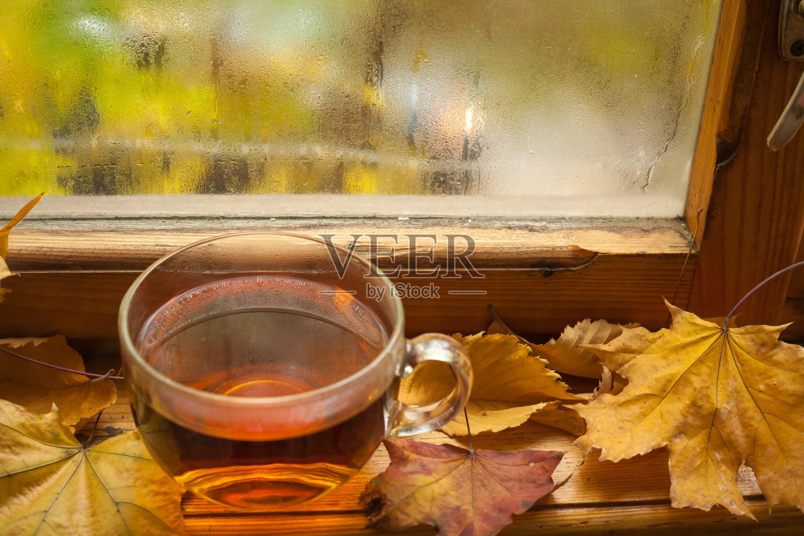 秋茶照片摄影图片