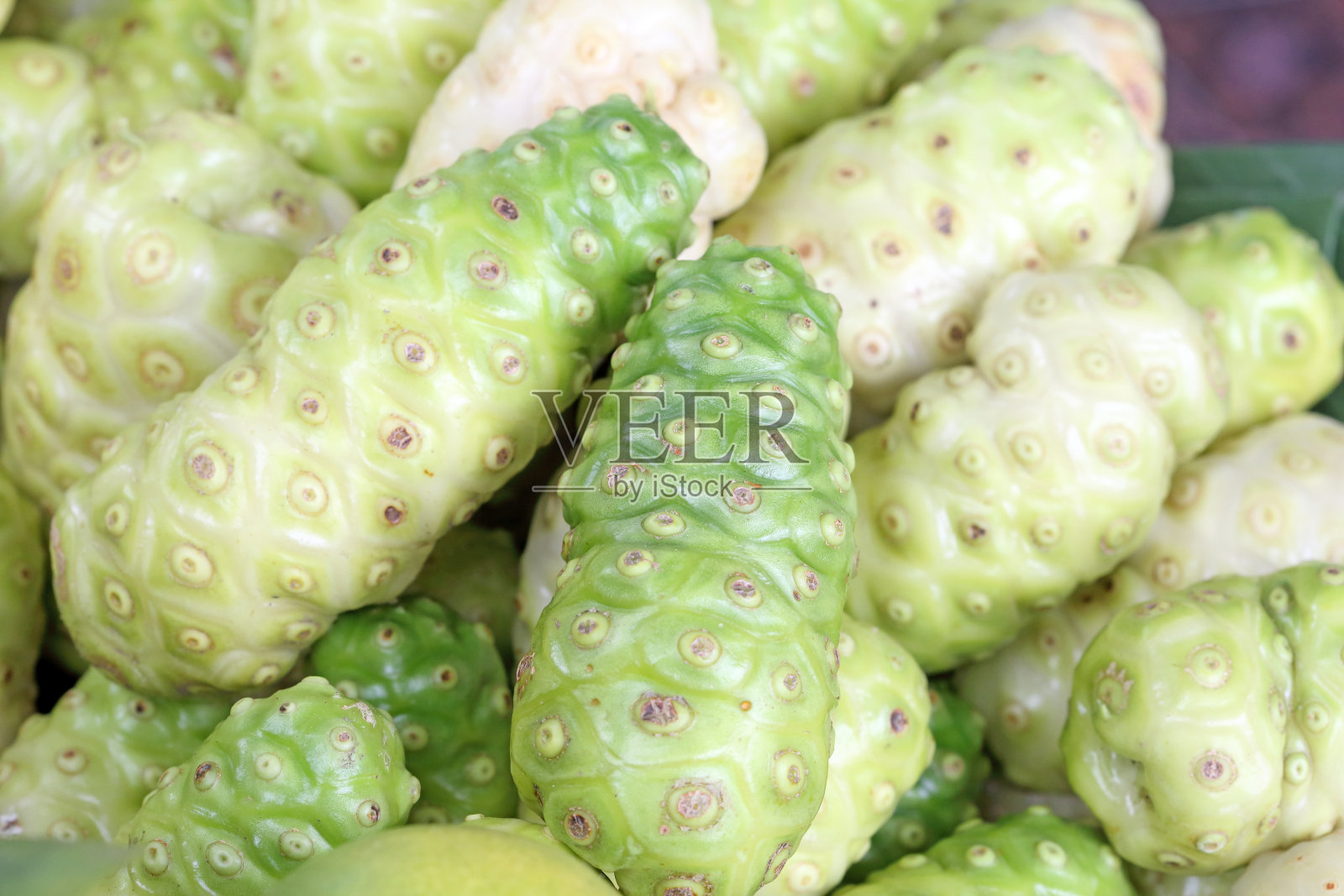 Morinda水果、泰国照片摄影图片