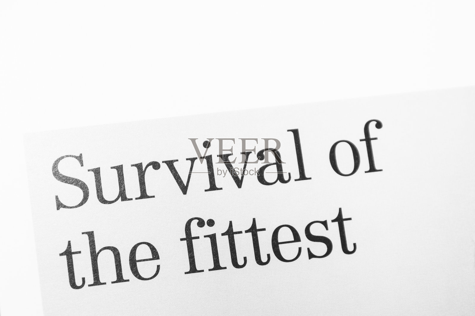 特写镜头。照片摄影图片