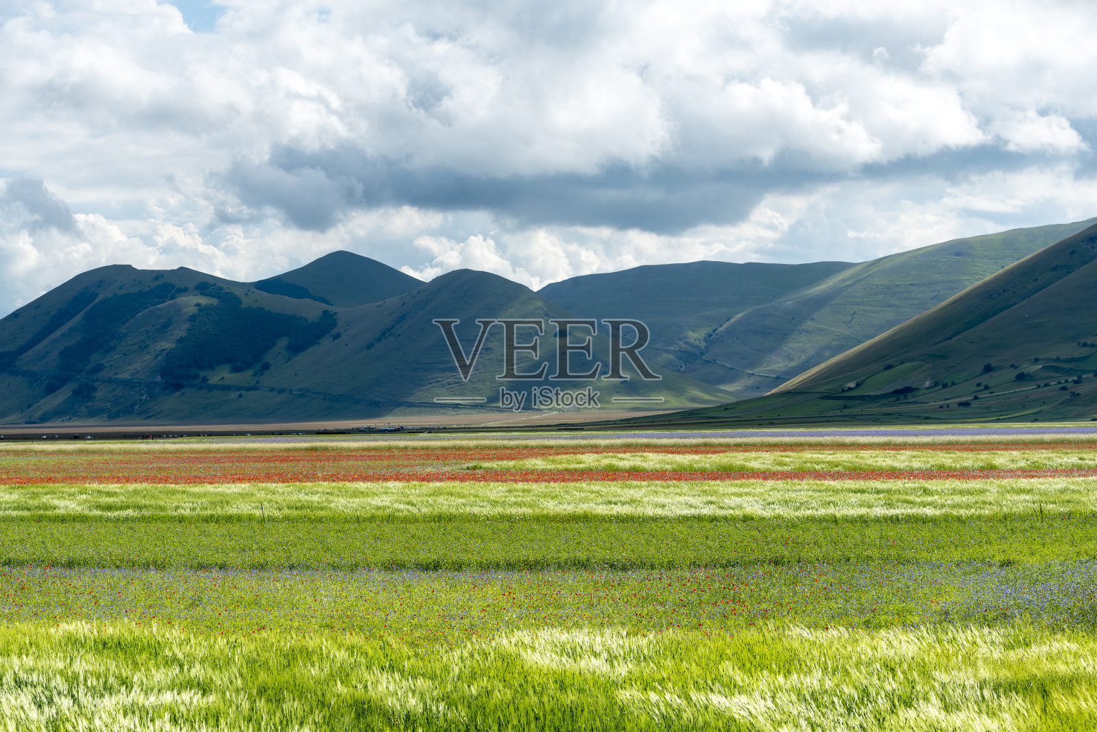 卡斯特卢西奥的大钢琴。照片摄影图片