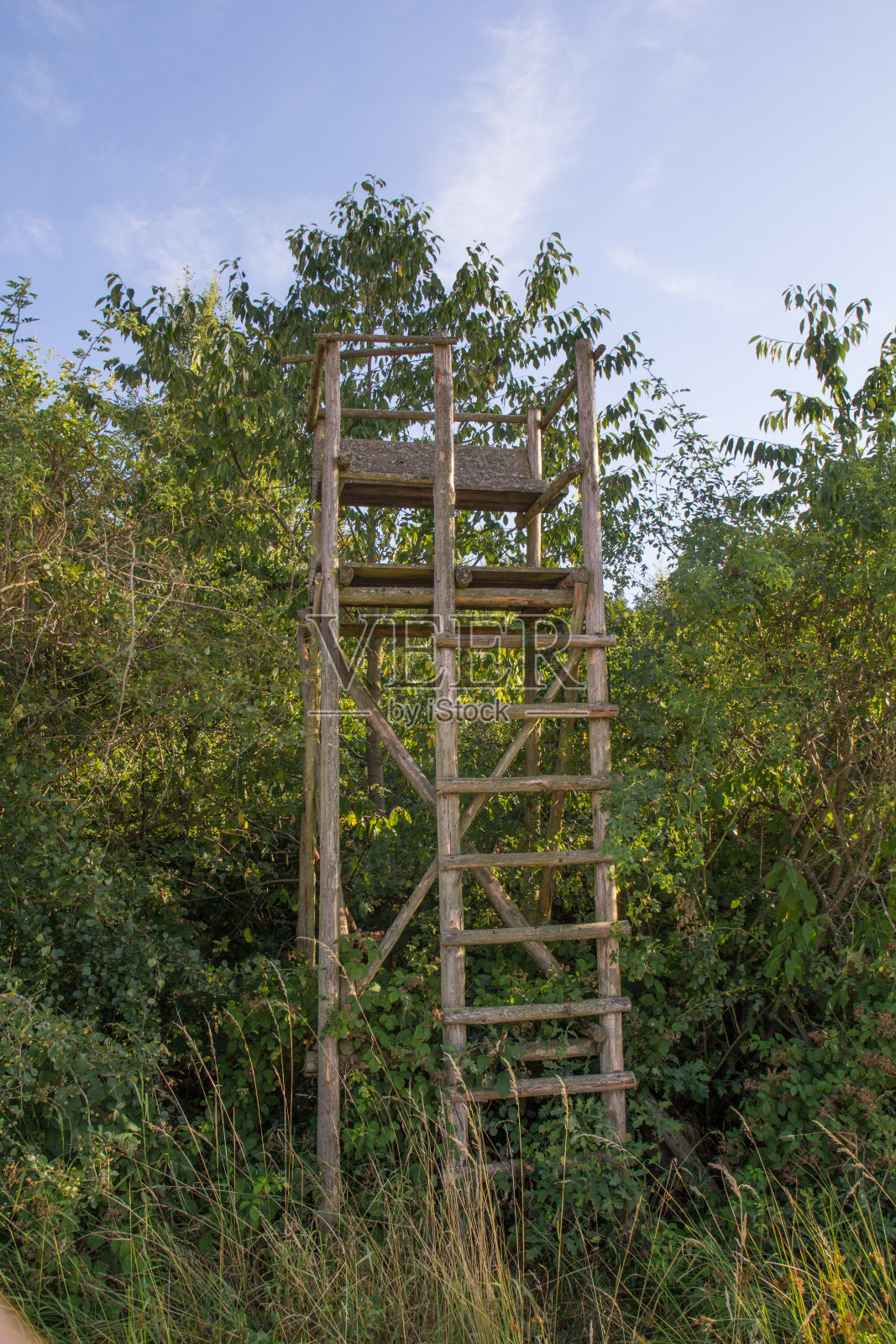 提高了隐藏照片摄影图片