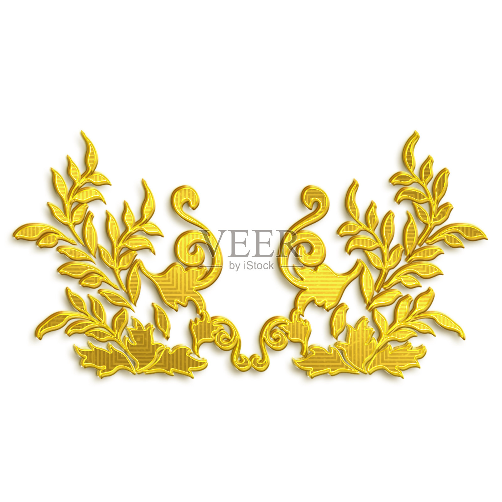 白色背景上的金花照片摄影图片