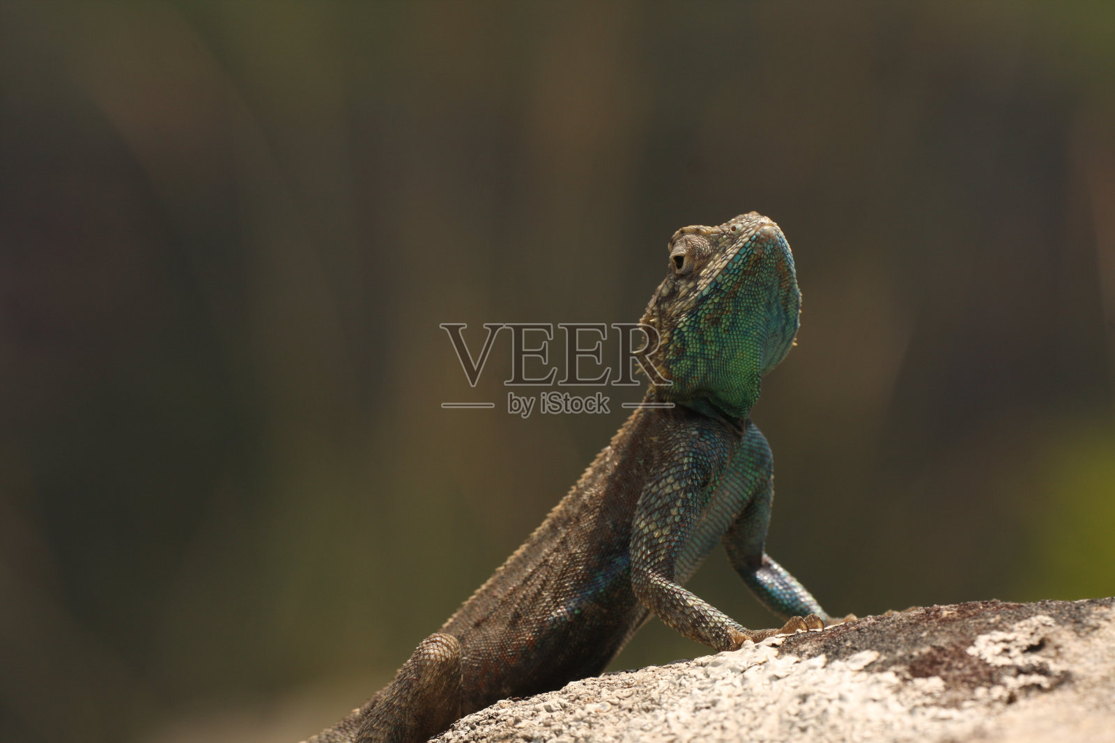 宗教摇滚照片摄影图片