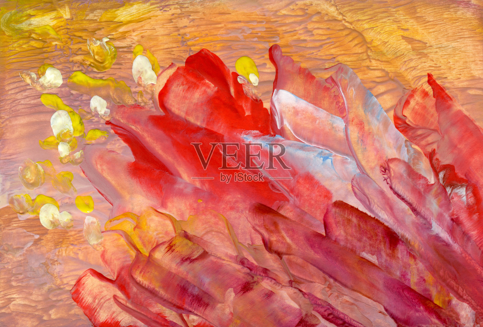 画抽象的花朵插画图片素材