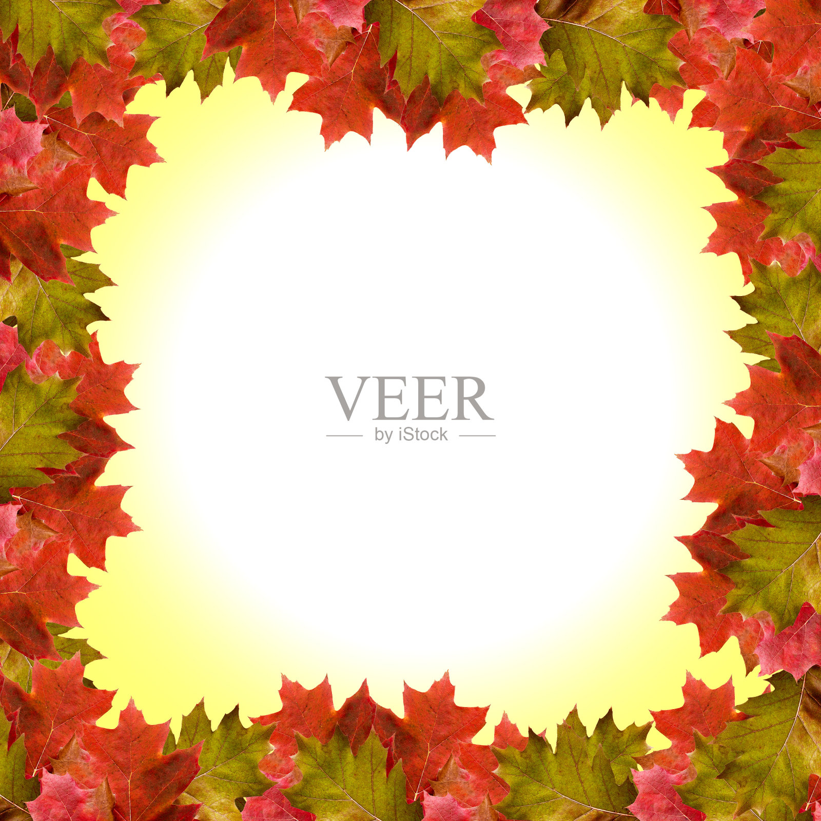 秋天照片摄影图片