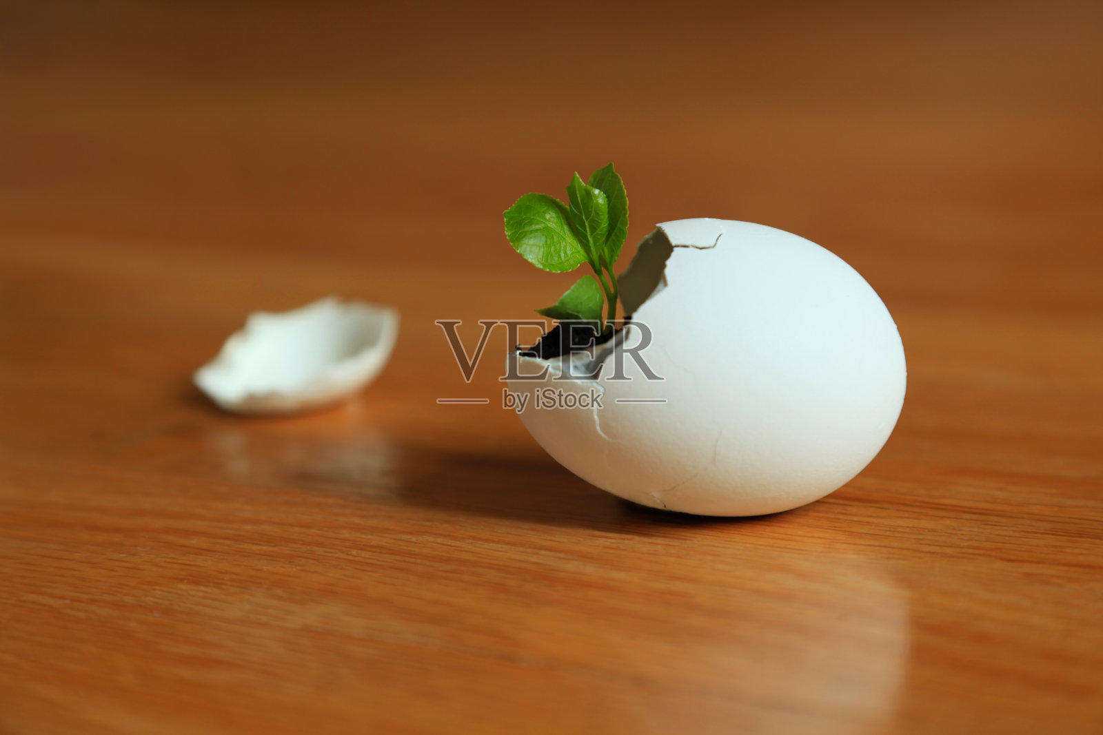 新生活照片摄影图片