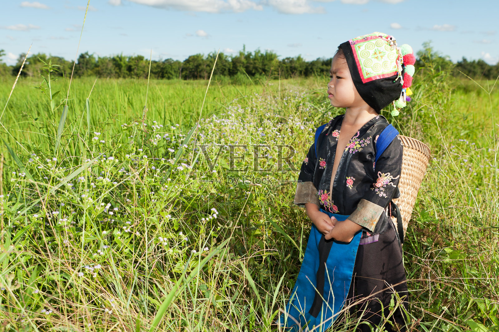 亚洲苗族女孩在稻田里照片摄影图片