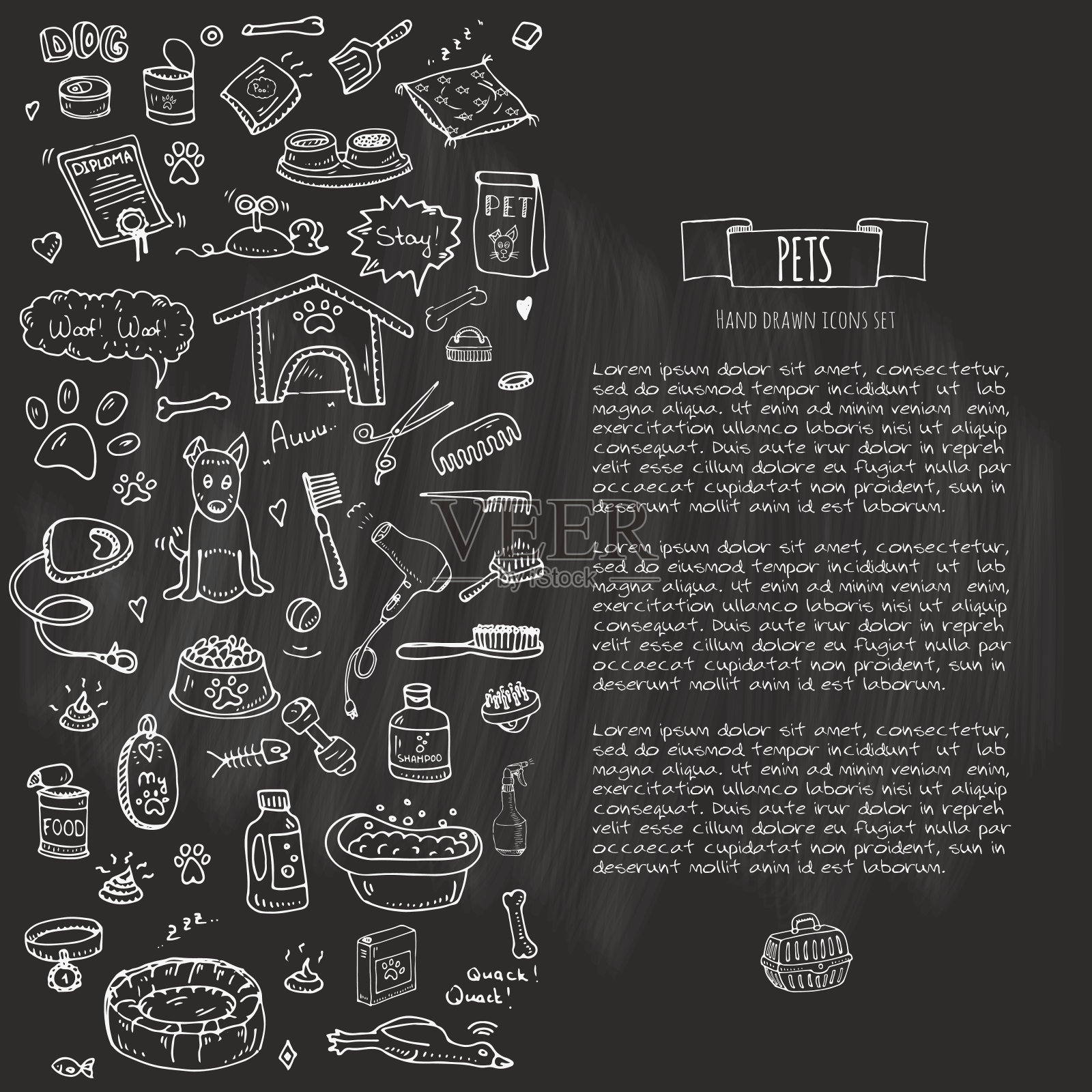 宠物用品及供应插画图片素材