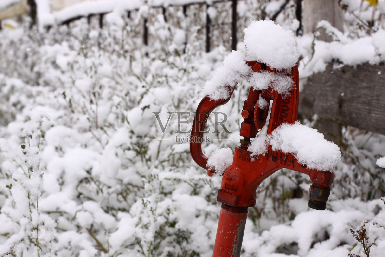 雪中的红色水泵照片摄影图片