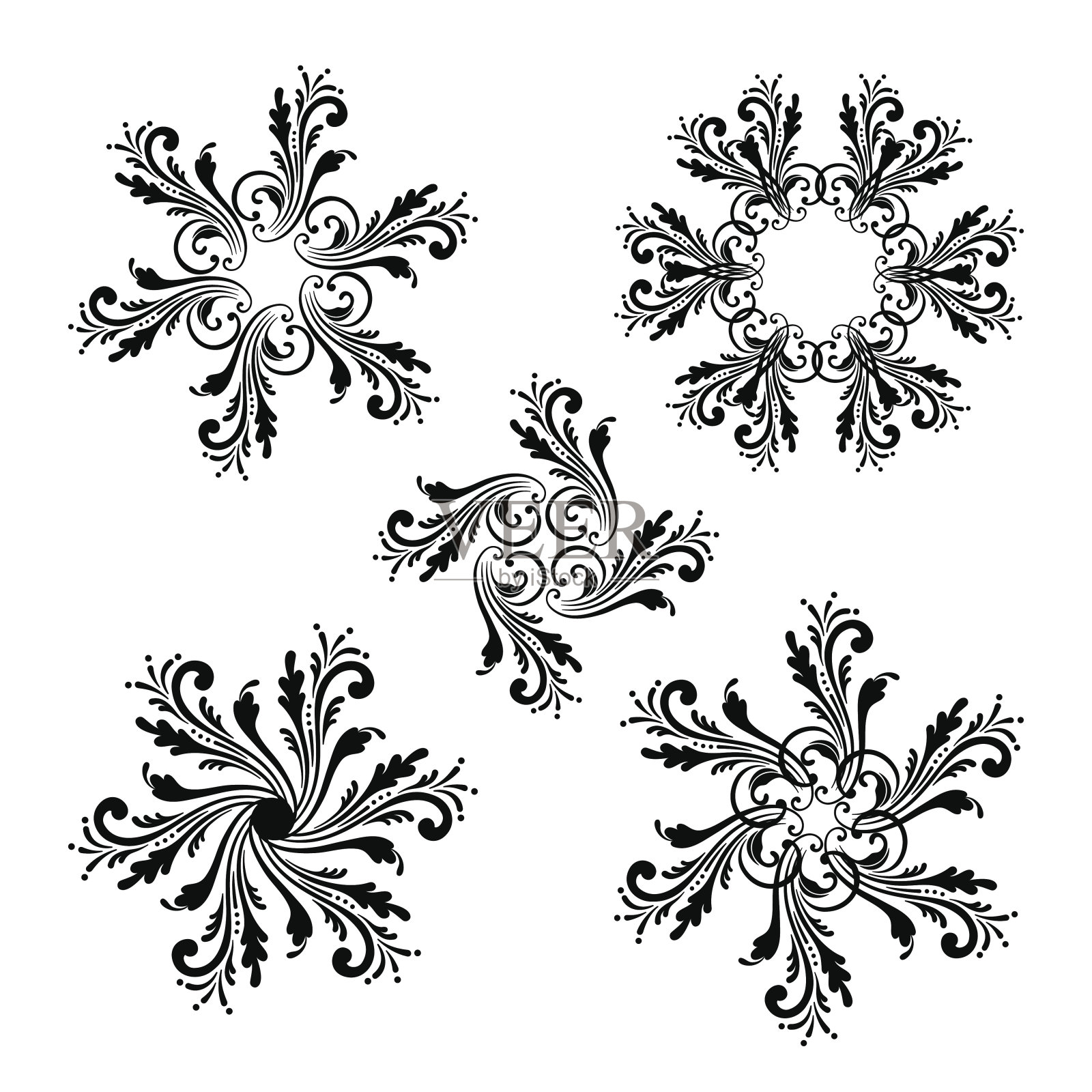 向量套的花卉圆形装饰品。插画图片素材