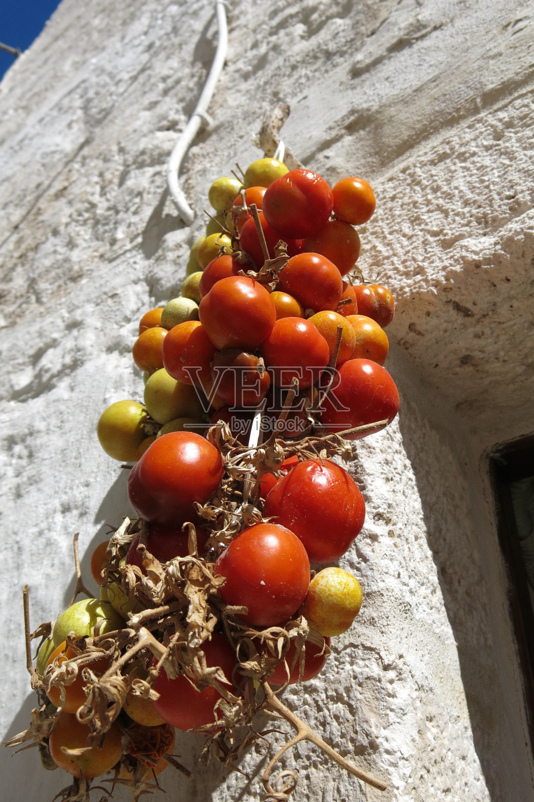 番茄晒干的番茄照片摄影图片
