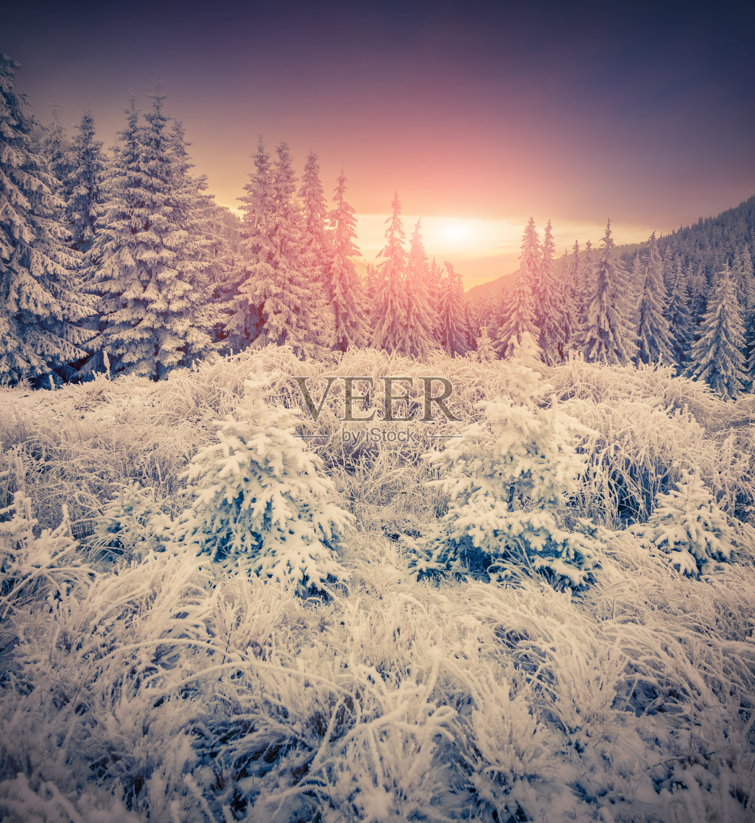 山上五颜六色的冬日日出。照片摄影图片