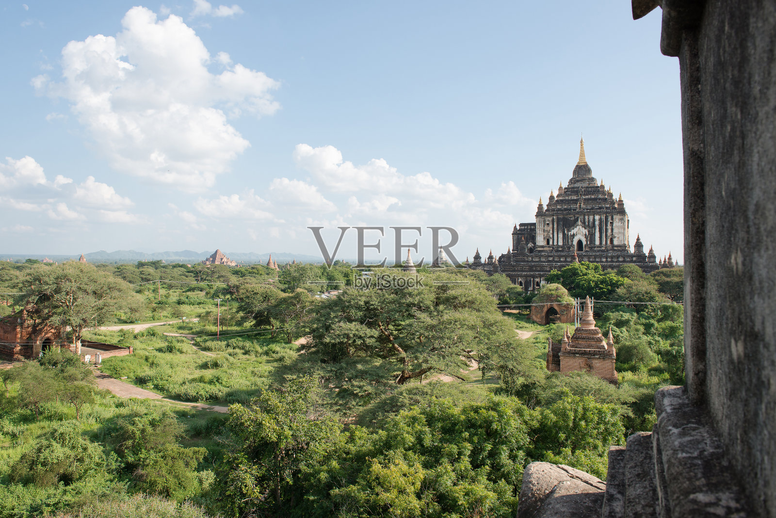 蒲甘老塔田照片摄影图片