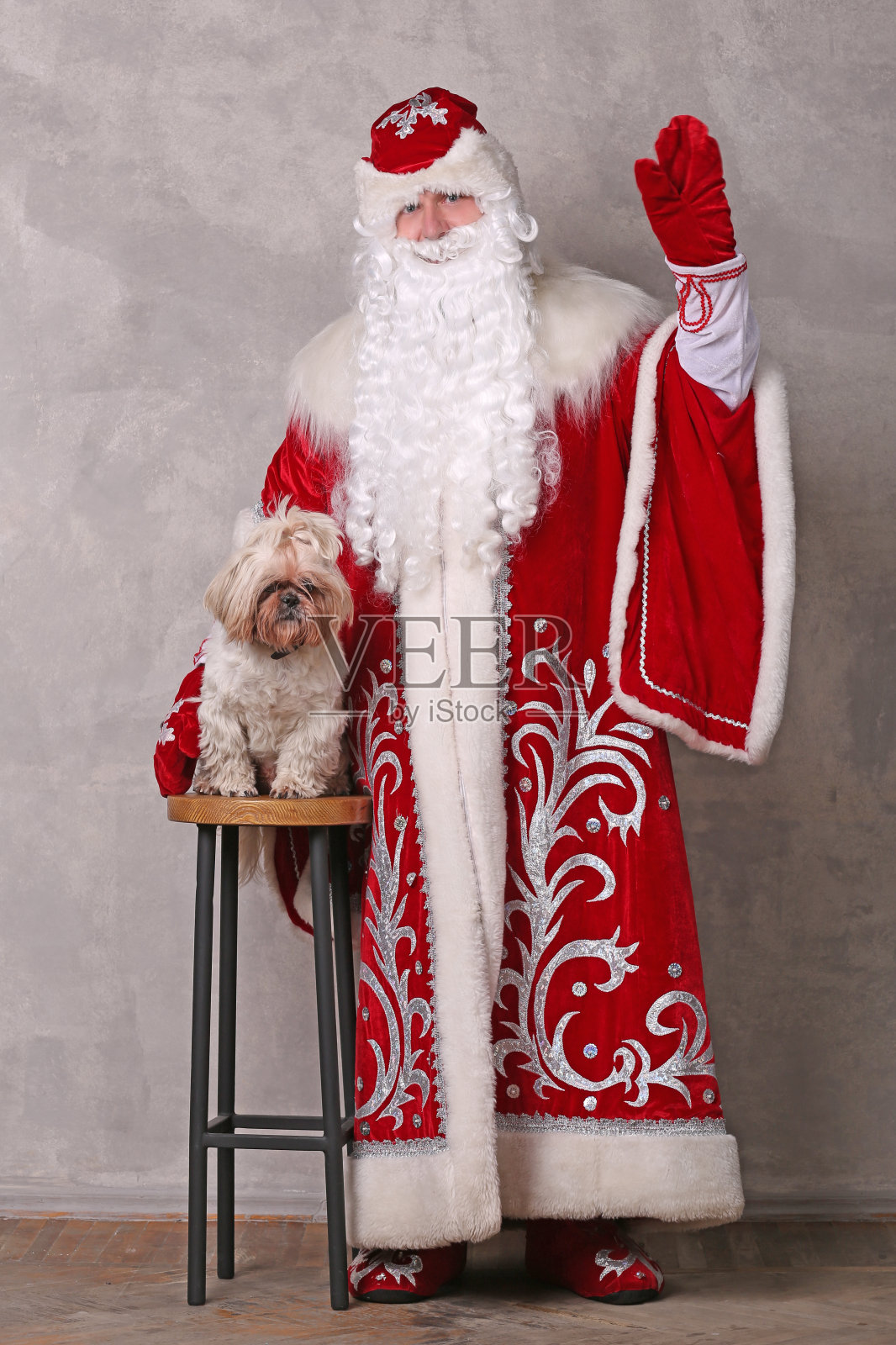 德·莫罗兹(弗罗斯特神父)在打电话照片摄影图片