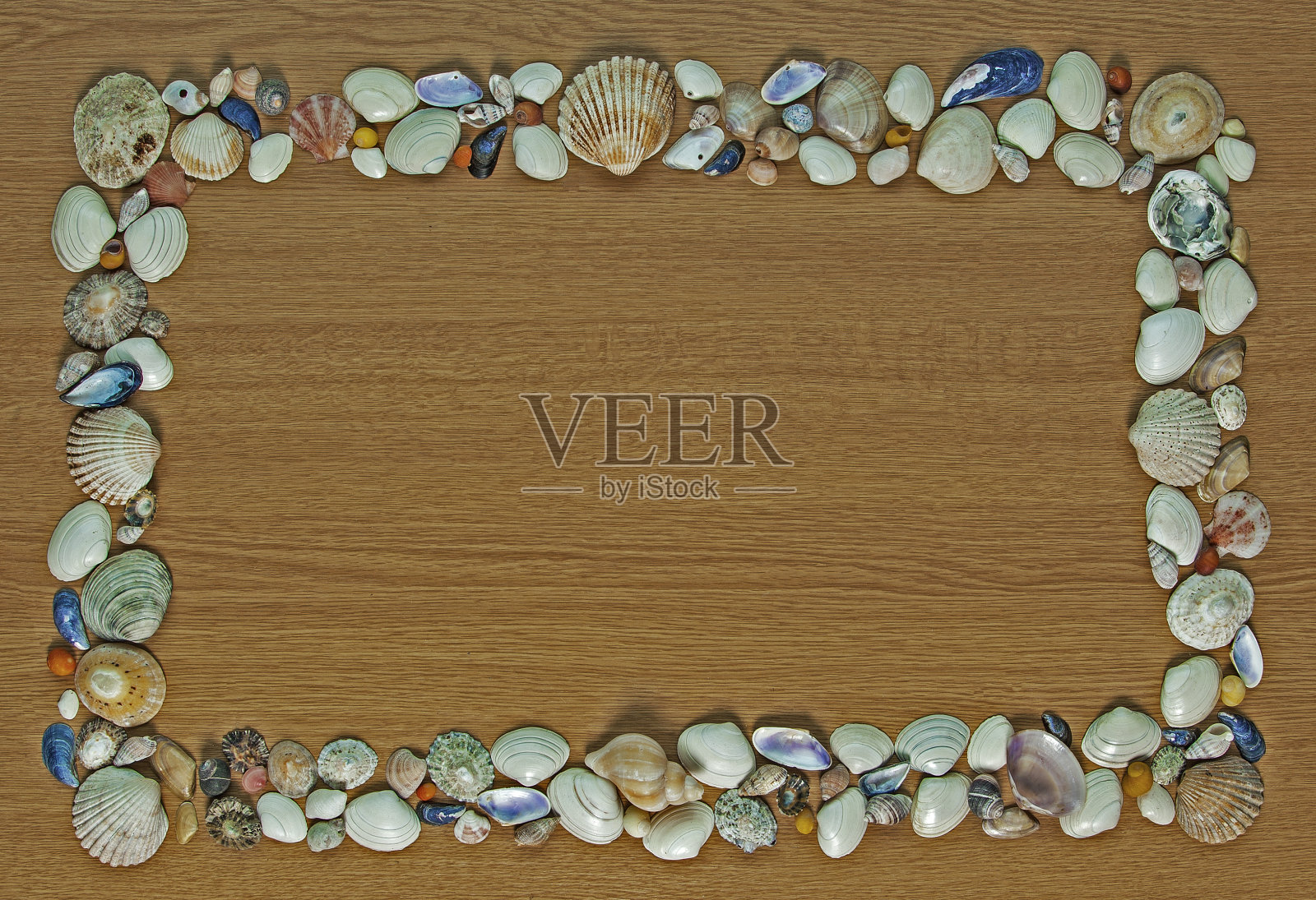 贝壳和更多的贝壳-背景与文本空间。照片摄影图片