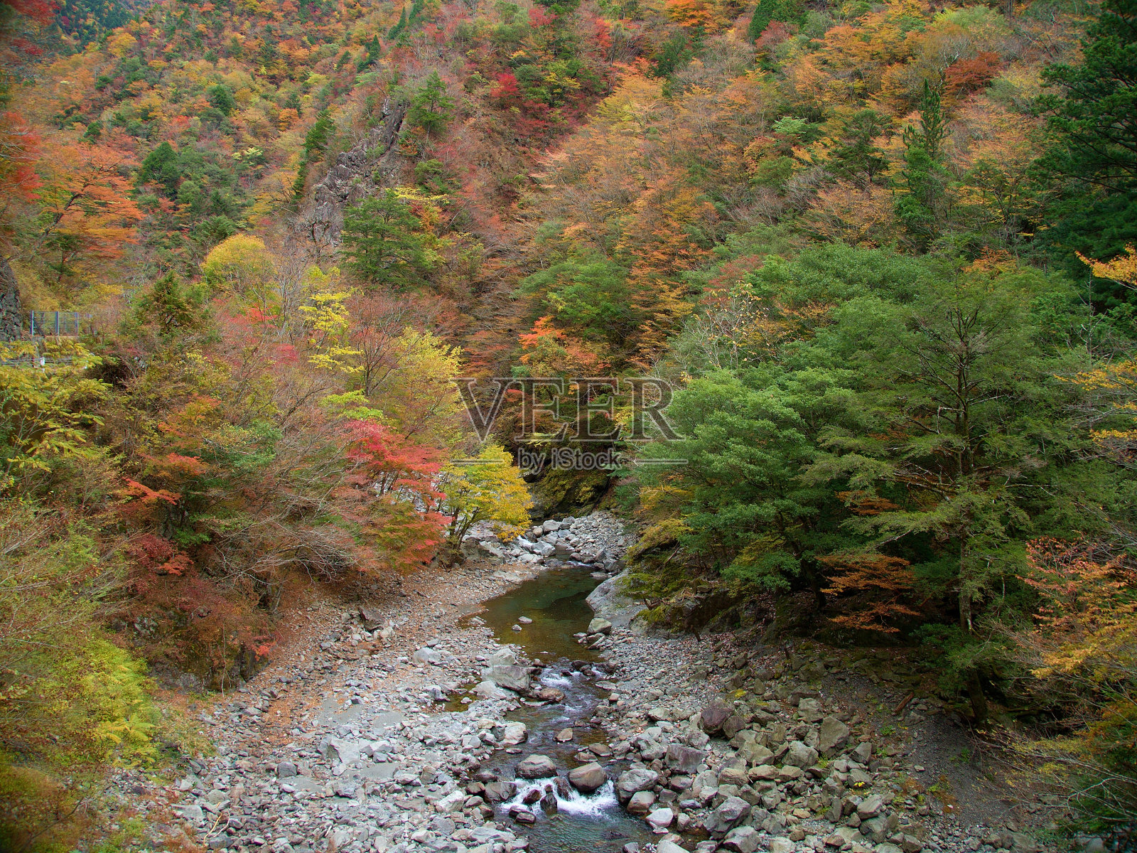 贝夫谷照片摄影图片