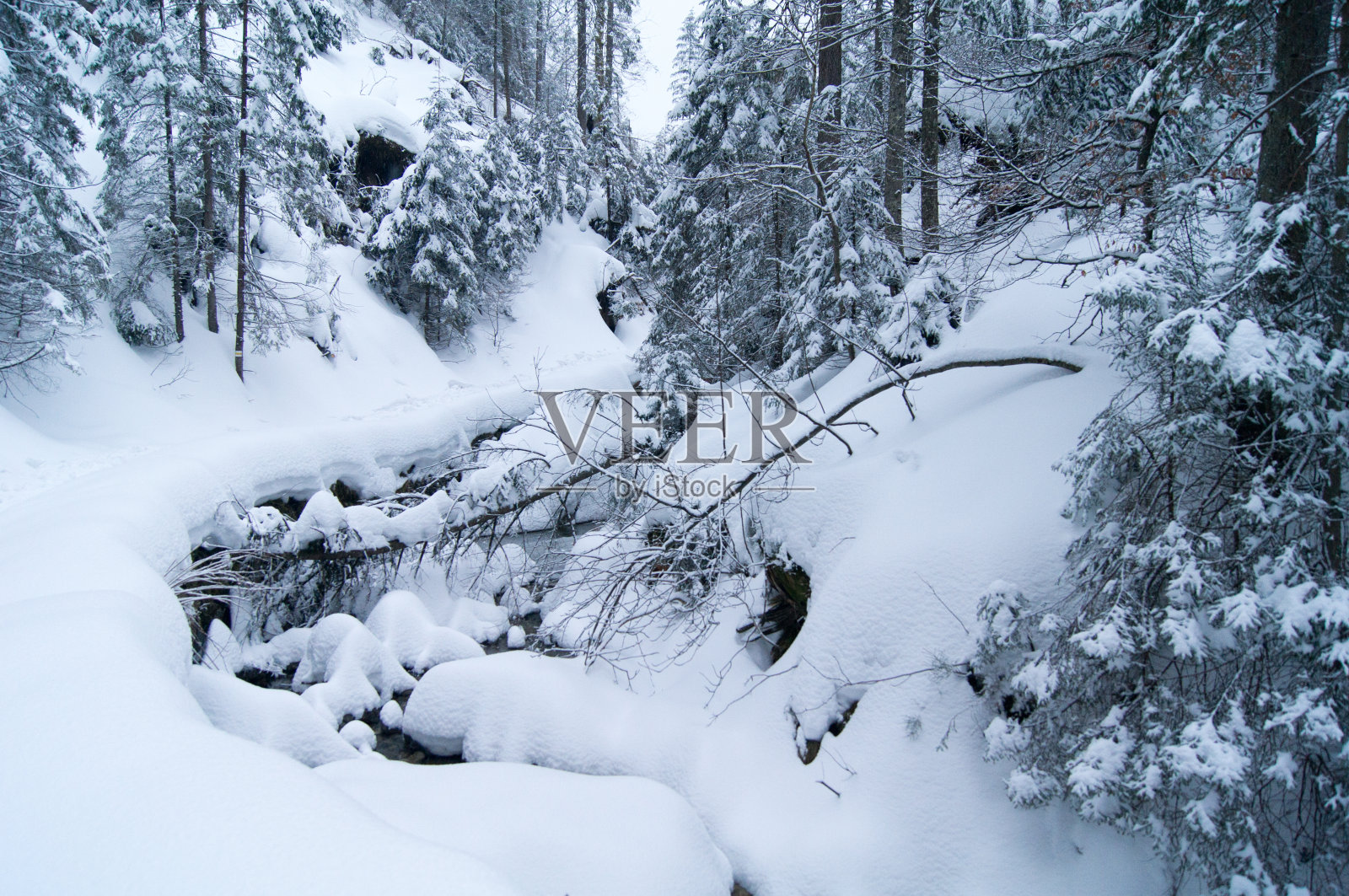 冬天的小溪被雪和树枝覆盖着照片摄影图片
