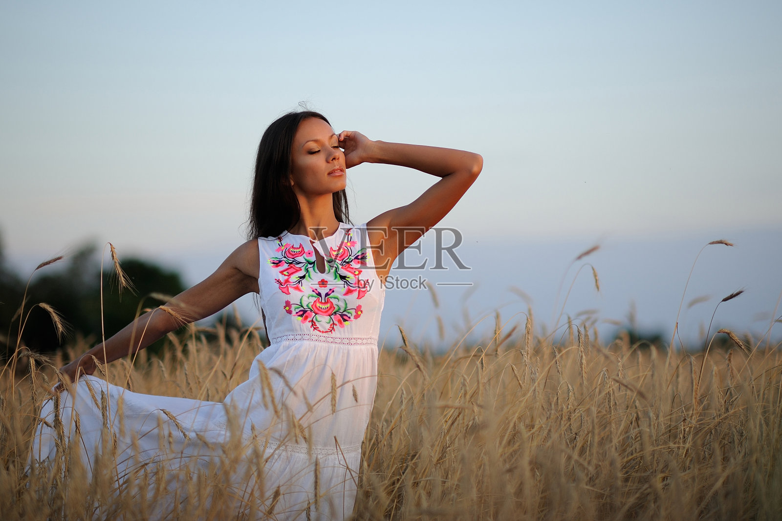 美丽优雅的黑发姑娘在田野里照片摄影图片