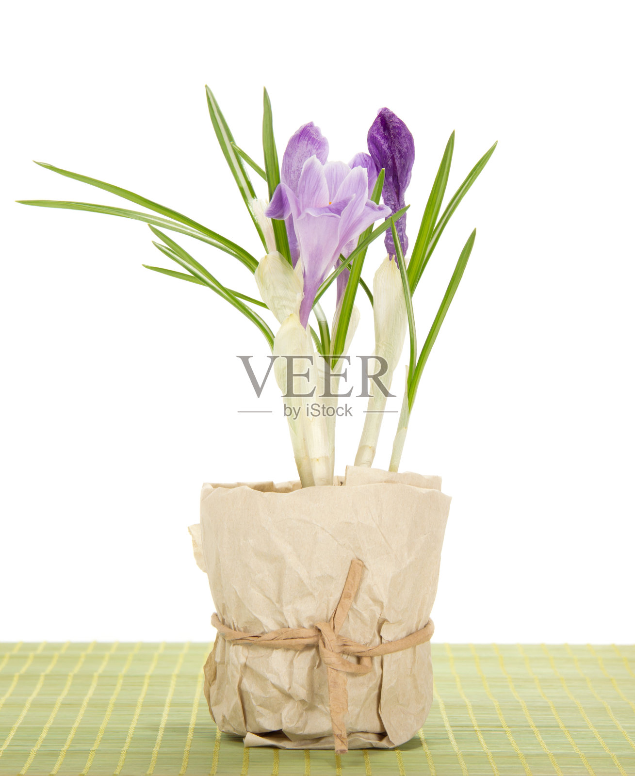 花盆里放着番红花，竹布上照片摄影图片