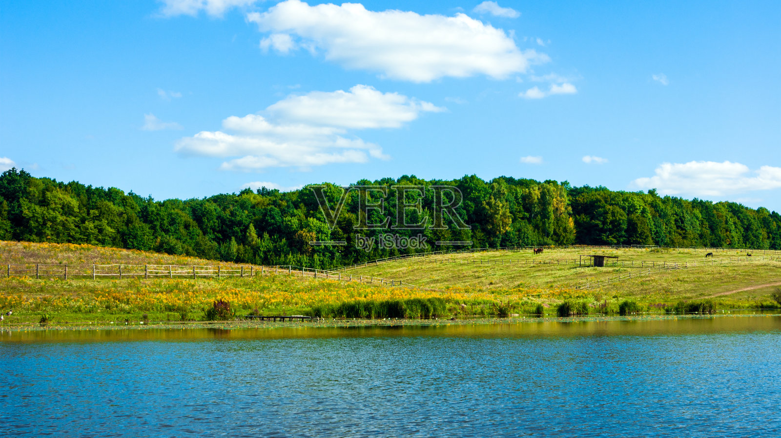 夏季田园景观照片摄影图片