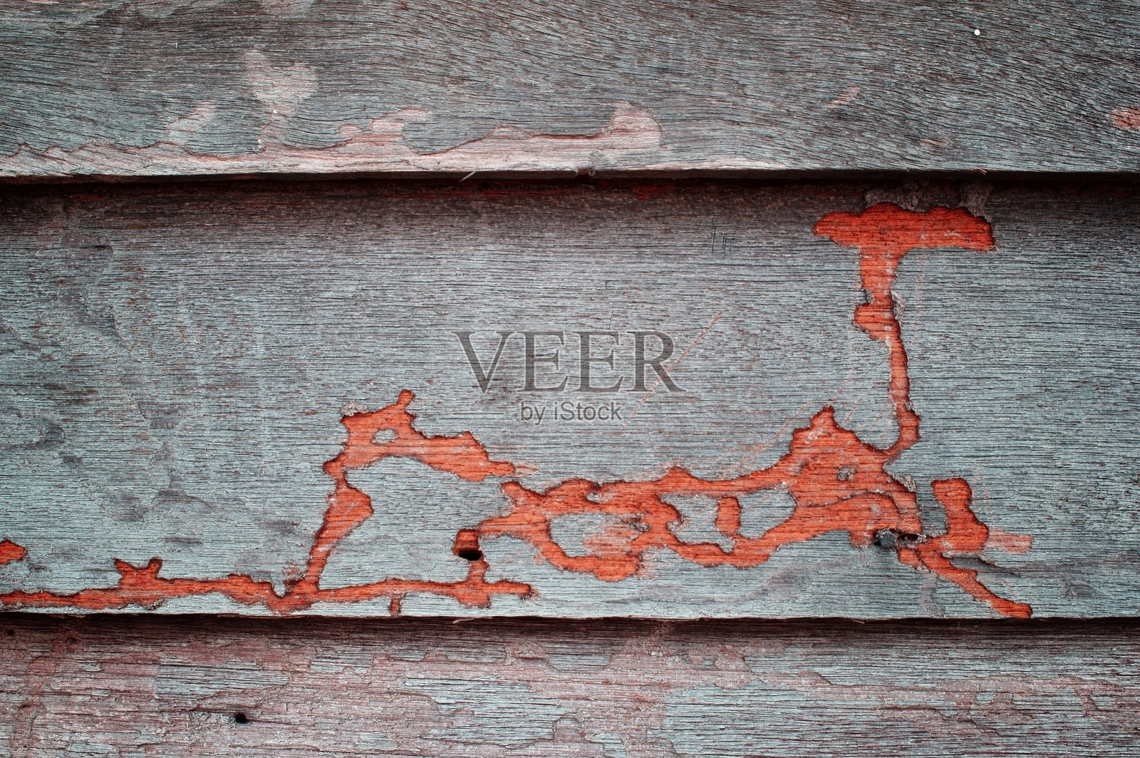 木墙上有白蚁的痕迹。照片摄影图片