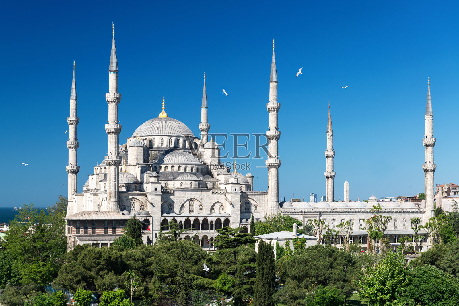 土耳其伊斯坦布尔的蓝色清真寺(苏丹艾哈迈德卡米)照片摄影图片