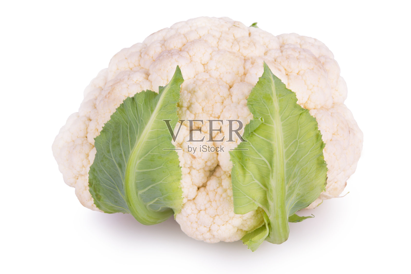 白色背景上的新鲜花椰菜照片摄影图片