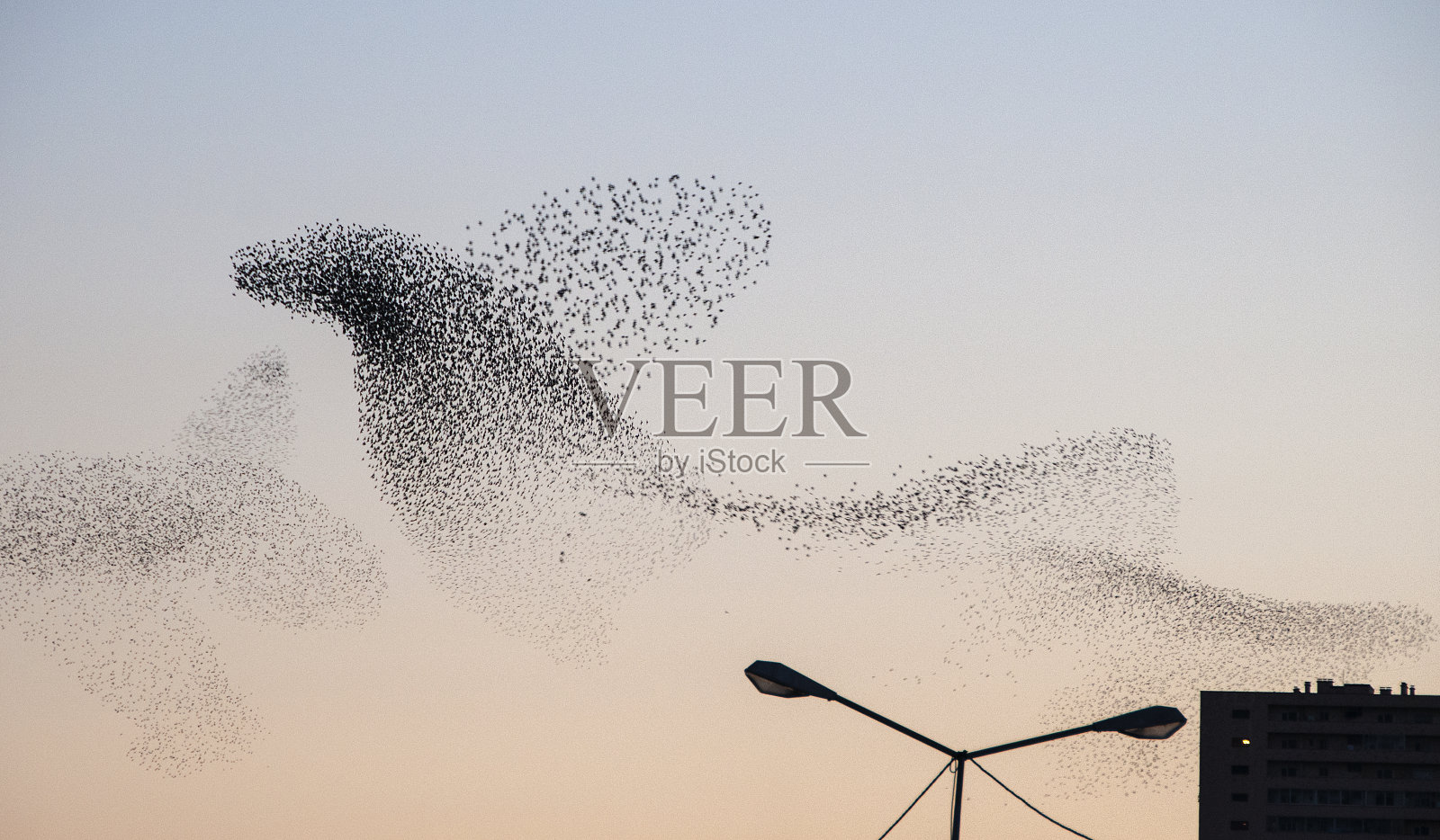 ？ tourneaux照片摄影图片