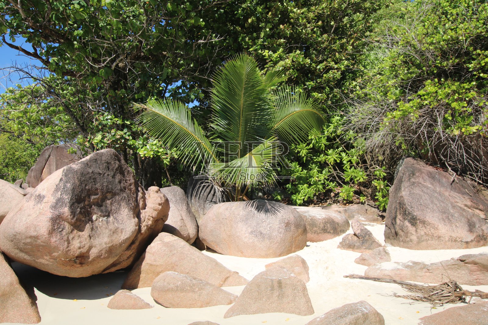 在海滩安塞拉齐奥，普拉林岛，塞舌尔，印度洋，非洲花岗岩照片摄影图片
