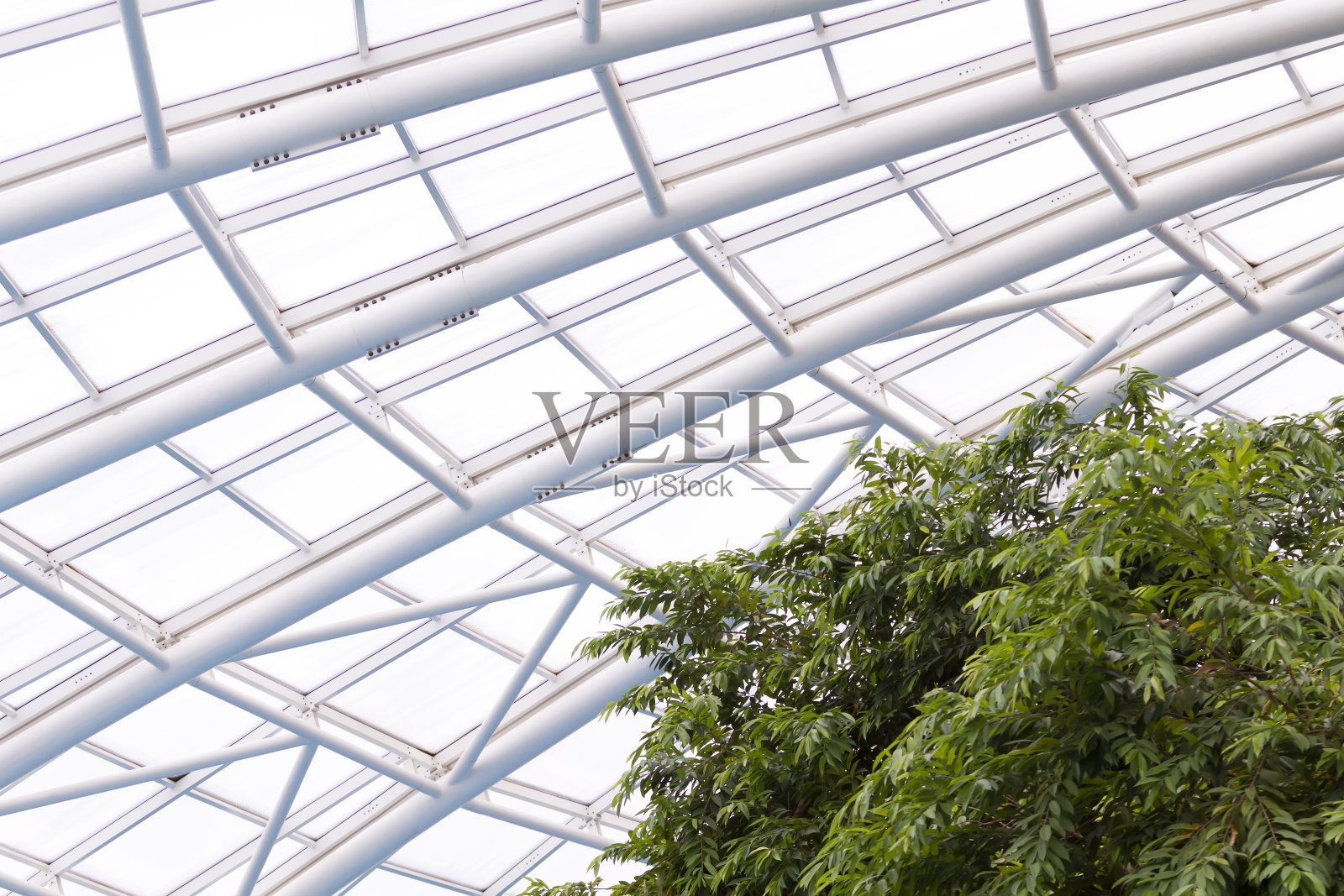 温室照片摄影图片