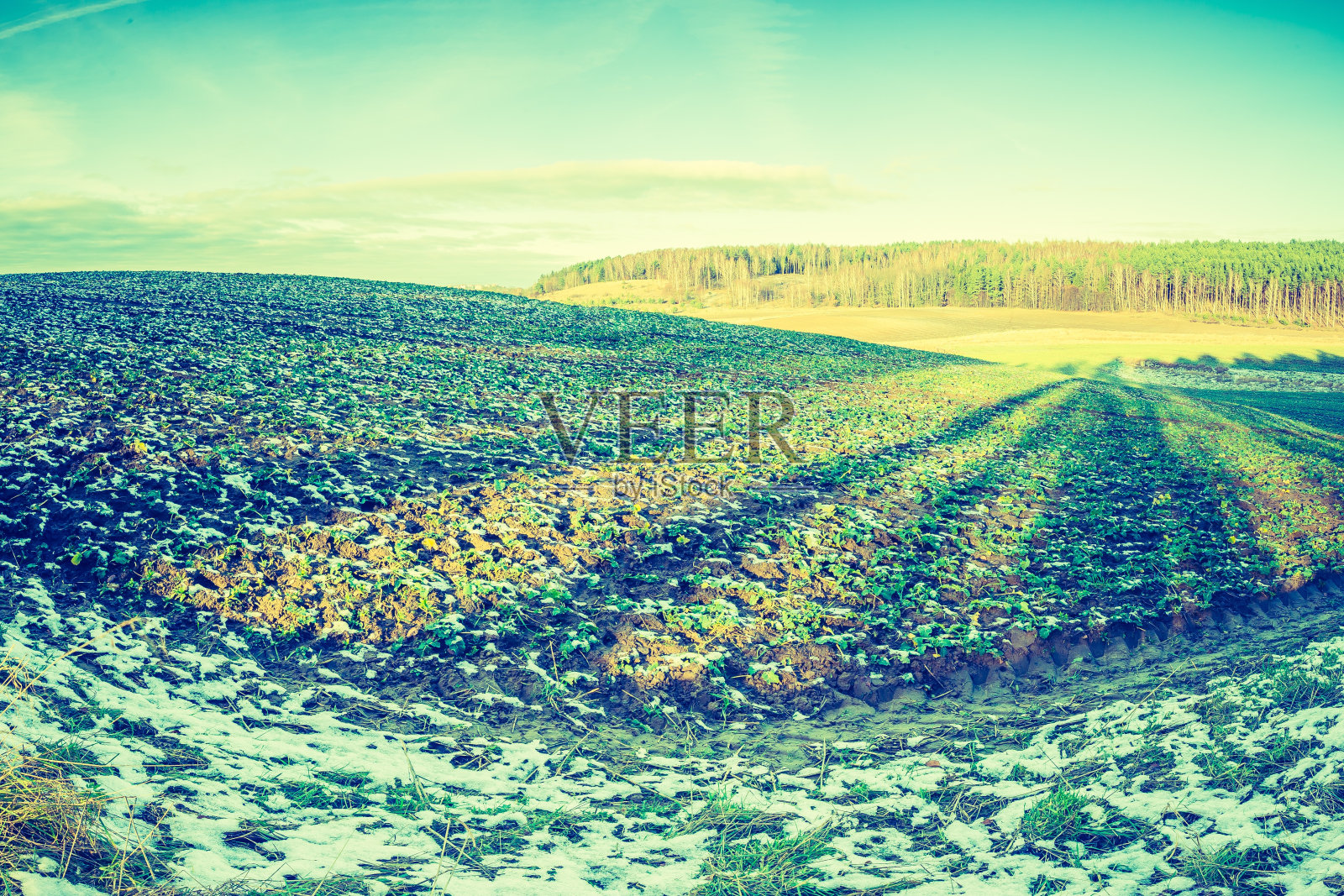 初冬田野的复古照片照片摄影图片