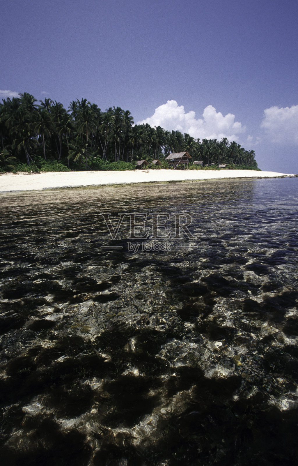 菲律宾，北苏里高，锡亚高岛，珊瑚礁。照片摄影图片
