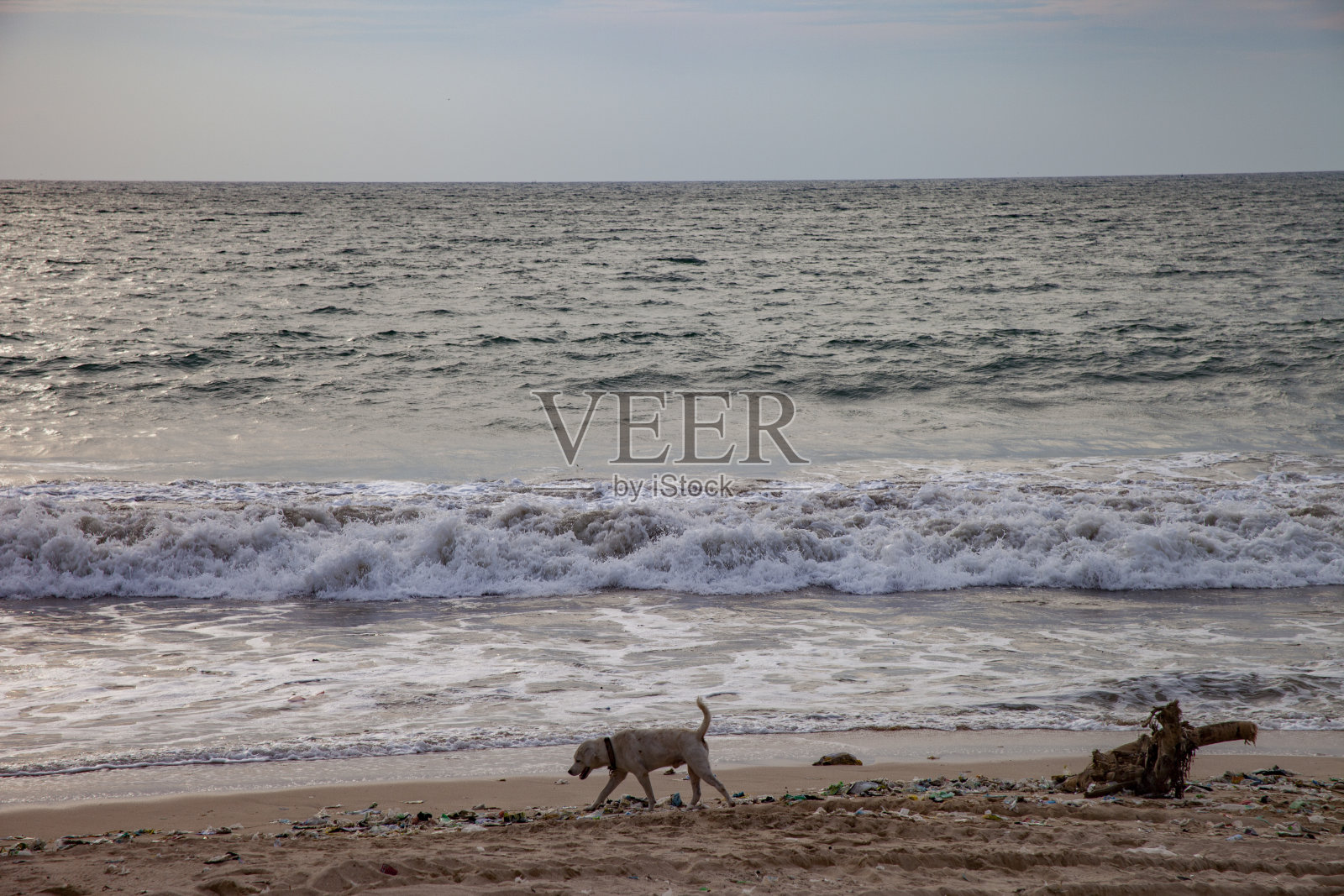 印尼巴厘岛的风景照片摄影图片