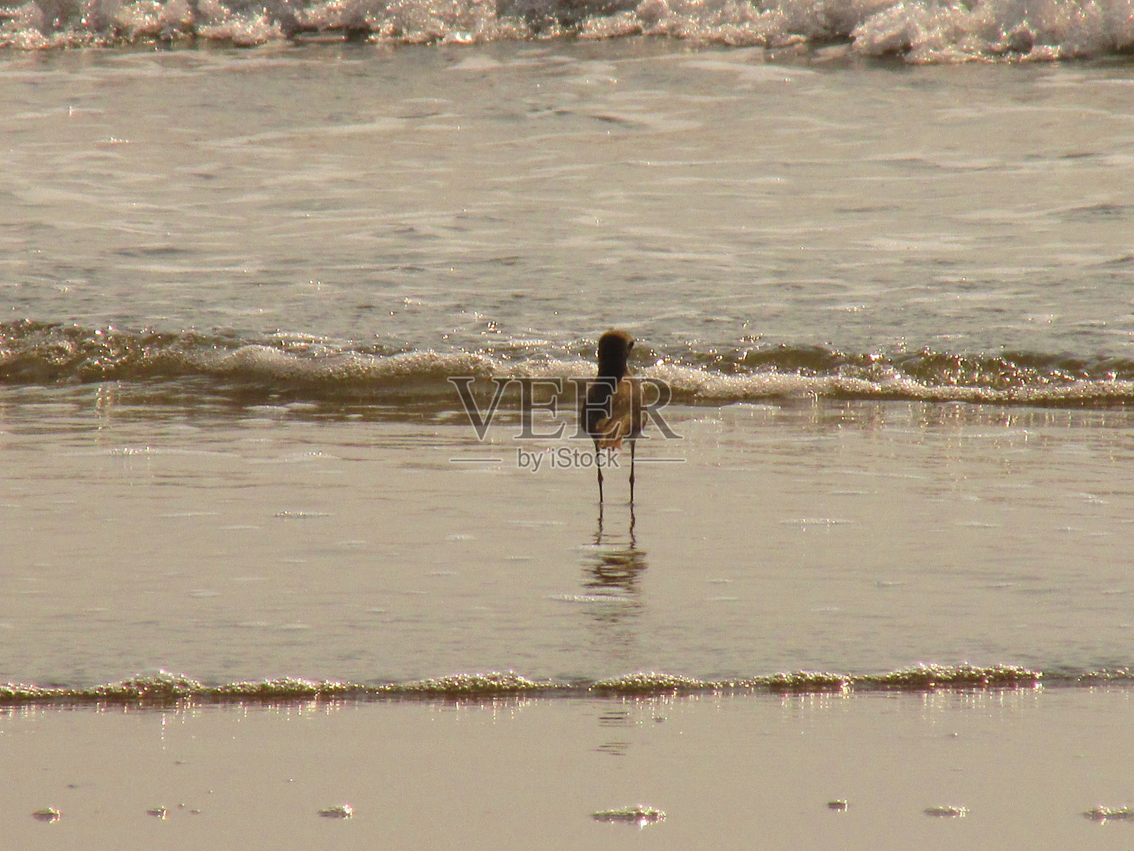 神奇的印度照片摄影图片