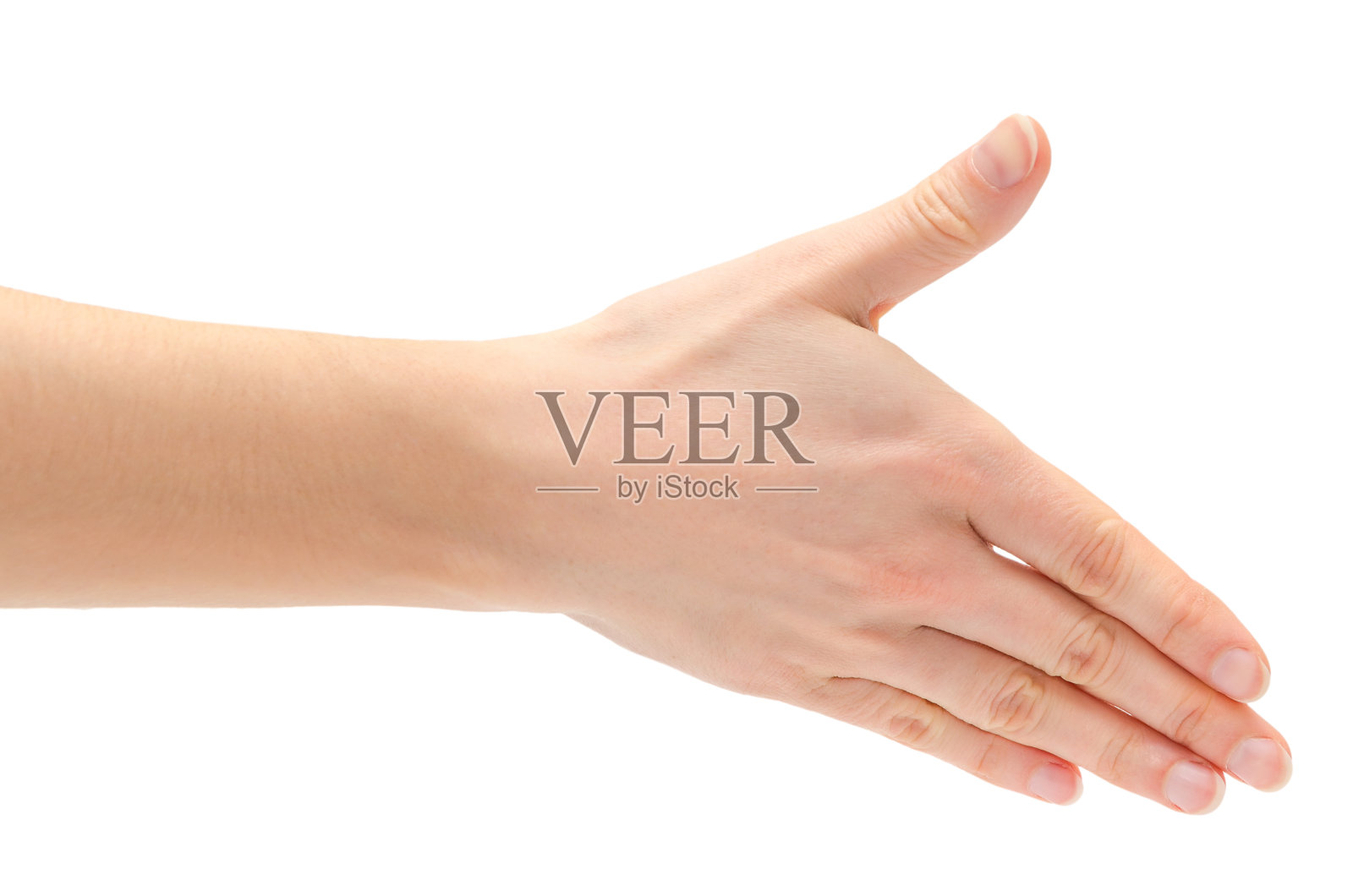 小女孩伸出手来握手。照片摄影图片