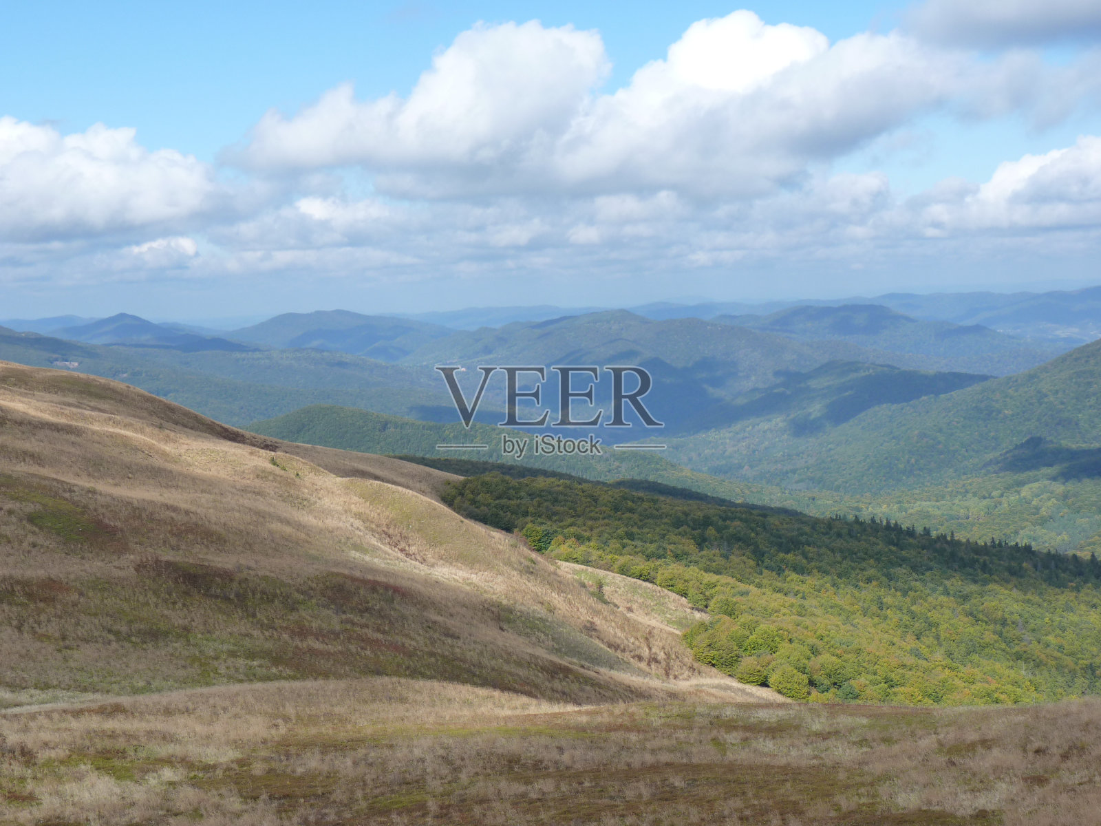 美丽的山川秋景。五彩缤纷的秋天在山上。Polonina, Bieszczady山脉照片摄影图片