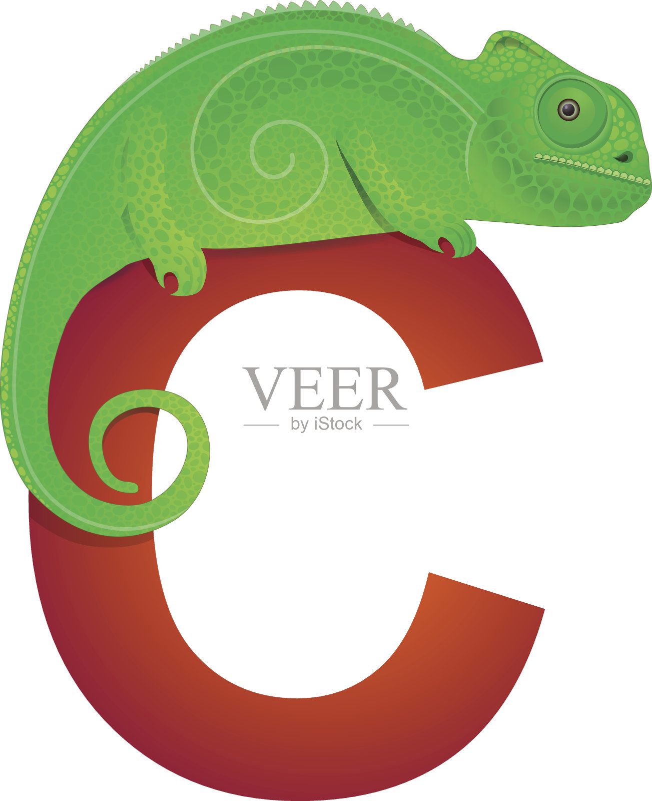 C变色龙插画图片素材