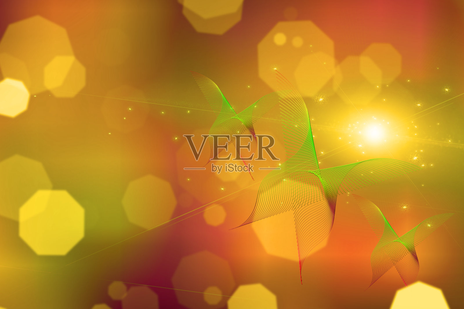 抽象的蝴蝶照片摄影图片