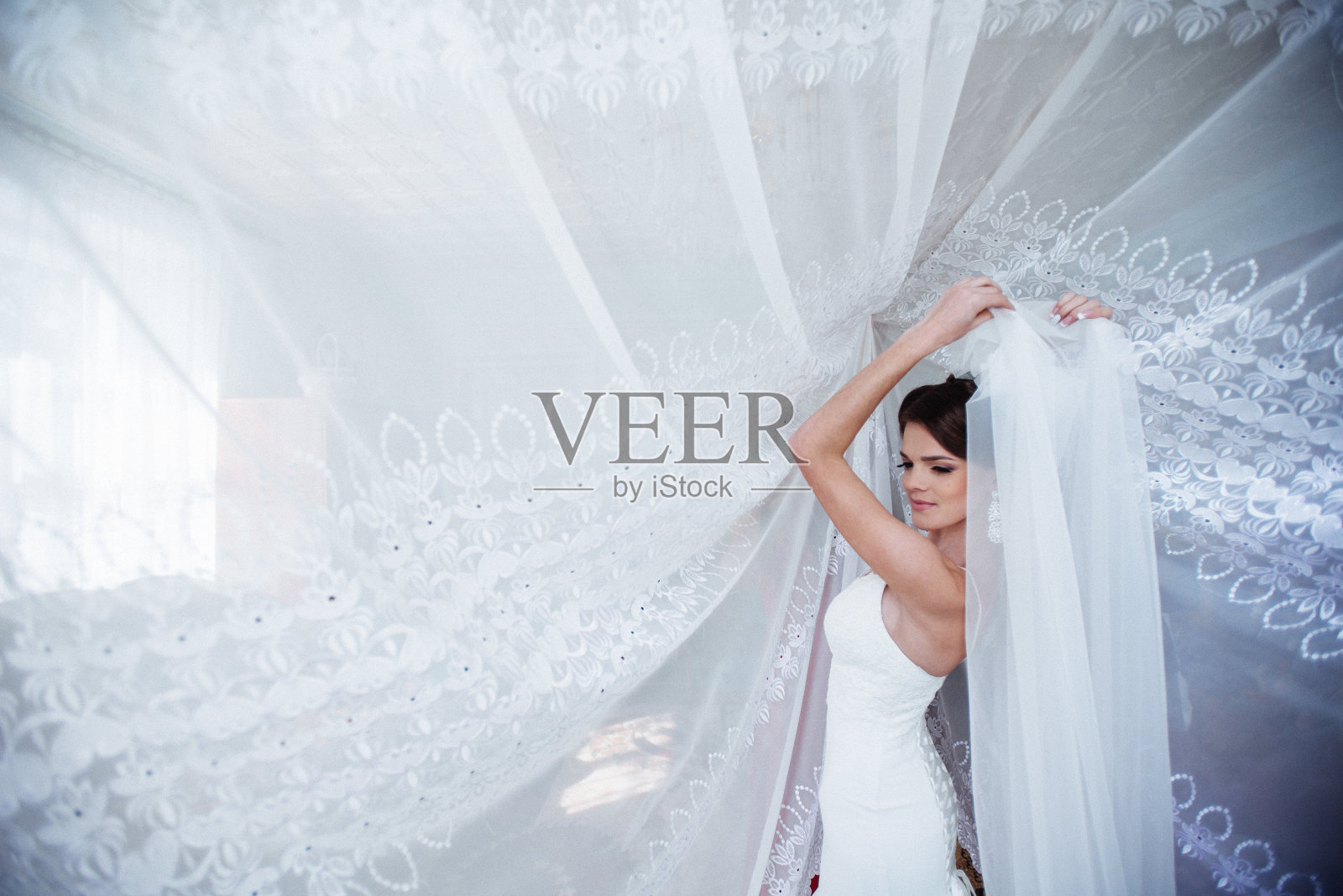 在日光下摆姿势的美丽新娘照片摄影图片