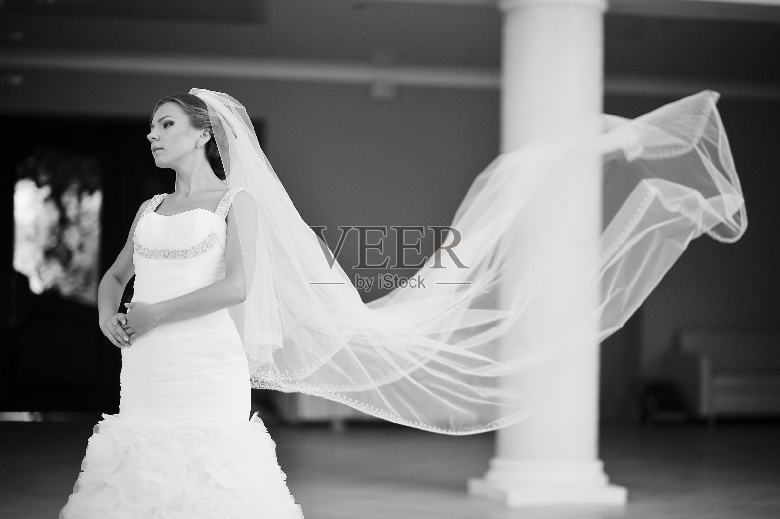 戴着头冠的新娘在婚礼餐厅摆姿势照片摄影图片