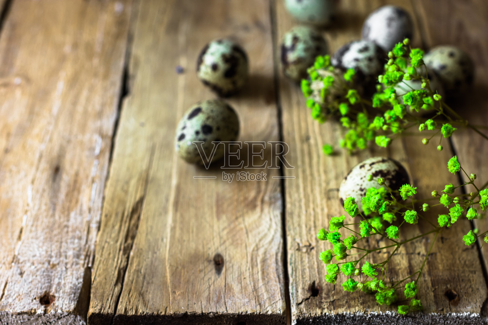 散落的鹌鹑蛋精致的春天黄花在老谷仓的木头背景，复活节照片摄影图片